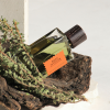Wood Infusion Parfum 100ml - Image 4