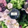 Apple Blue Clover Decorative Tin Candle - Image 2
