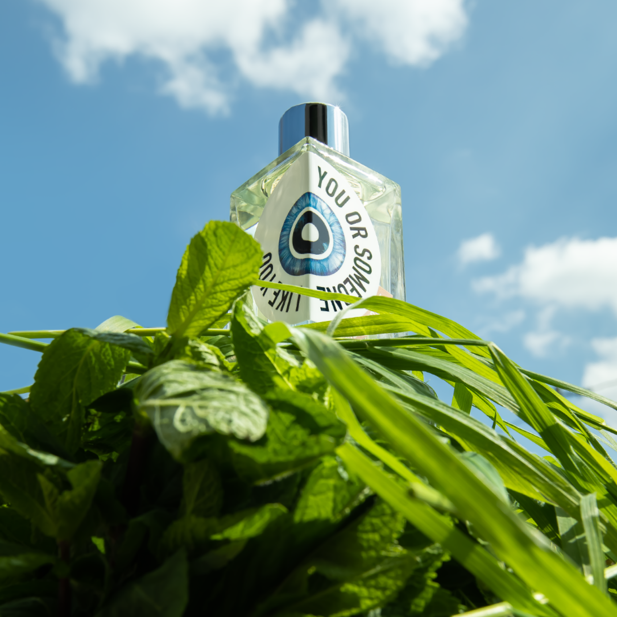 You or Someone Like You EDP 100ml - Image 3