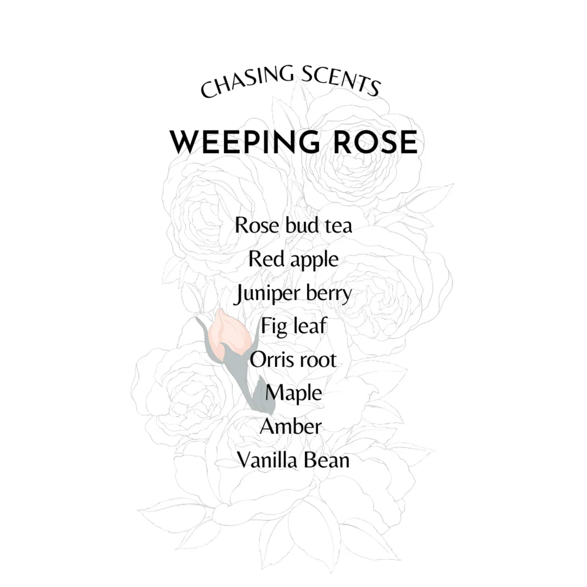 Weeping Rose EDP 30ml - Image 2