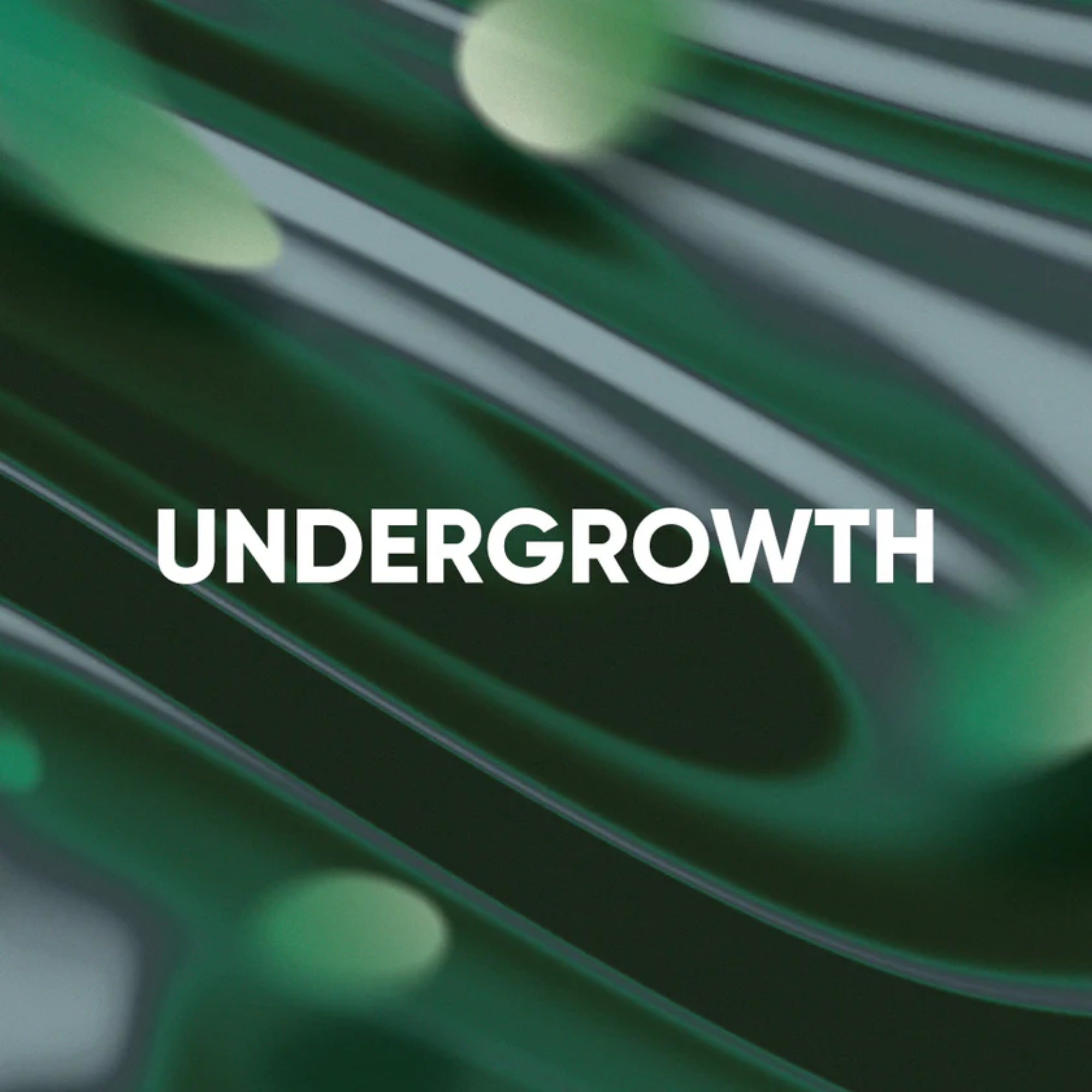UNDERGROWTH EDP 50ml - Image 3