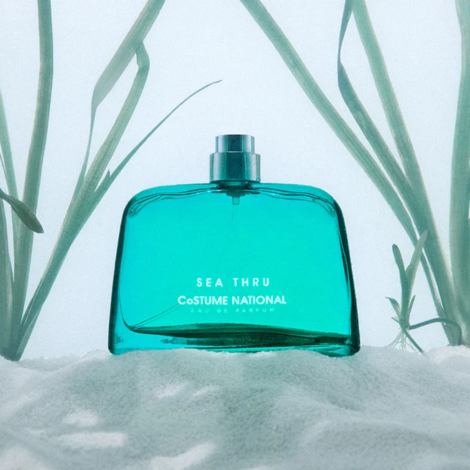 Sea Thru EDP 100ml - Image 4
