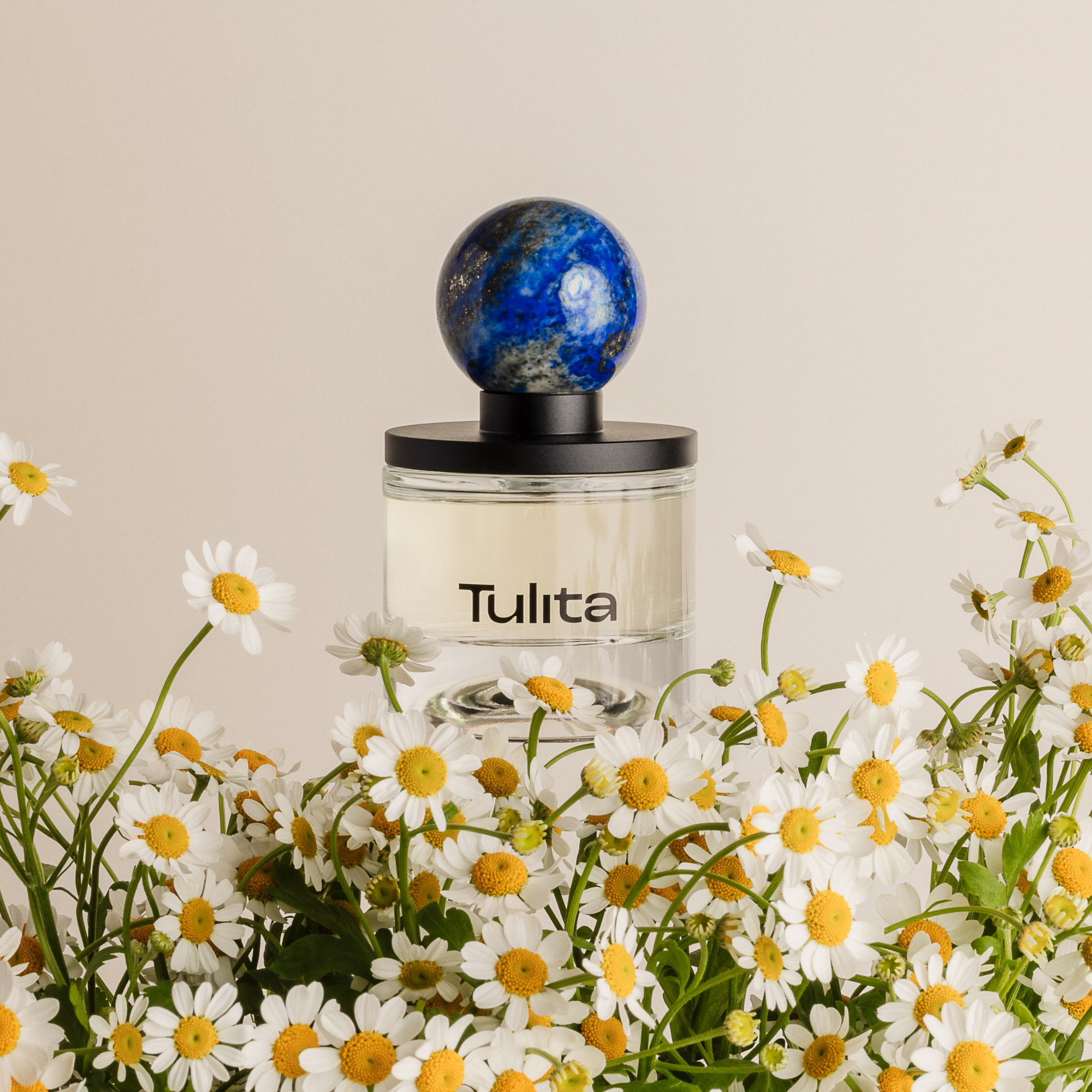 Tulita