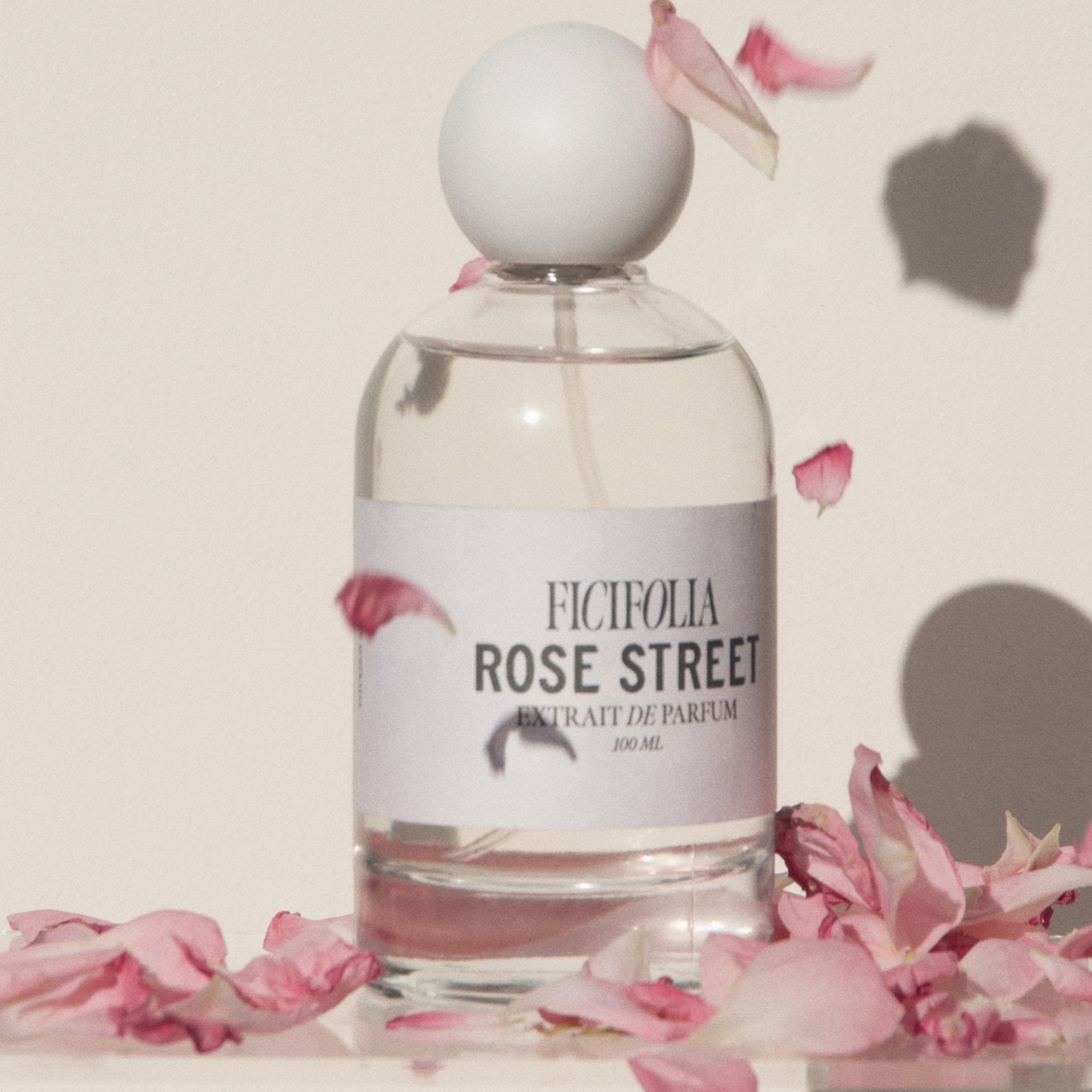 Rose Street Extrait de Parfum 100ml - Image 2