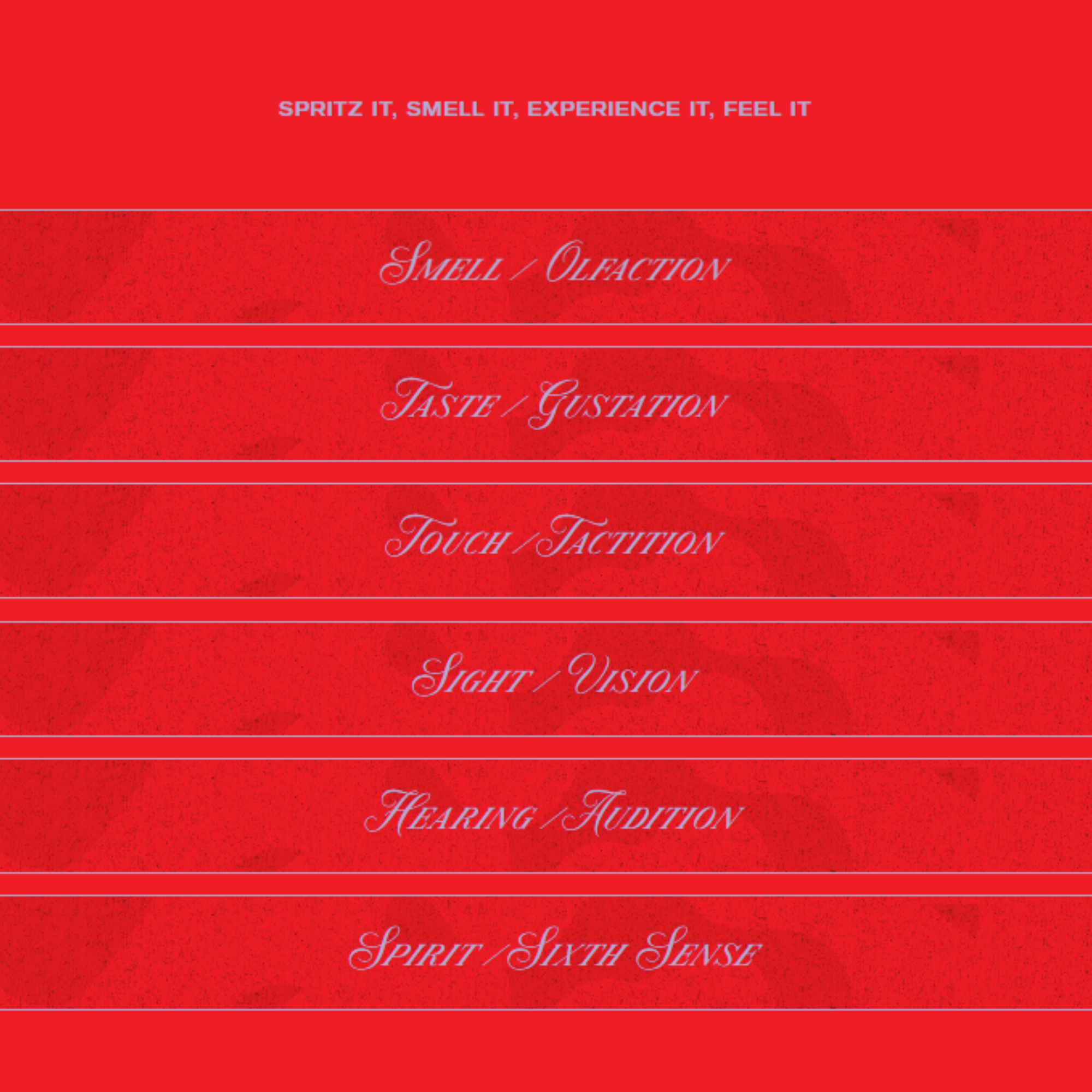 Redolence (Online Masterclass + Discovery Set) - Image 8