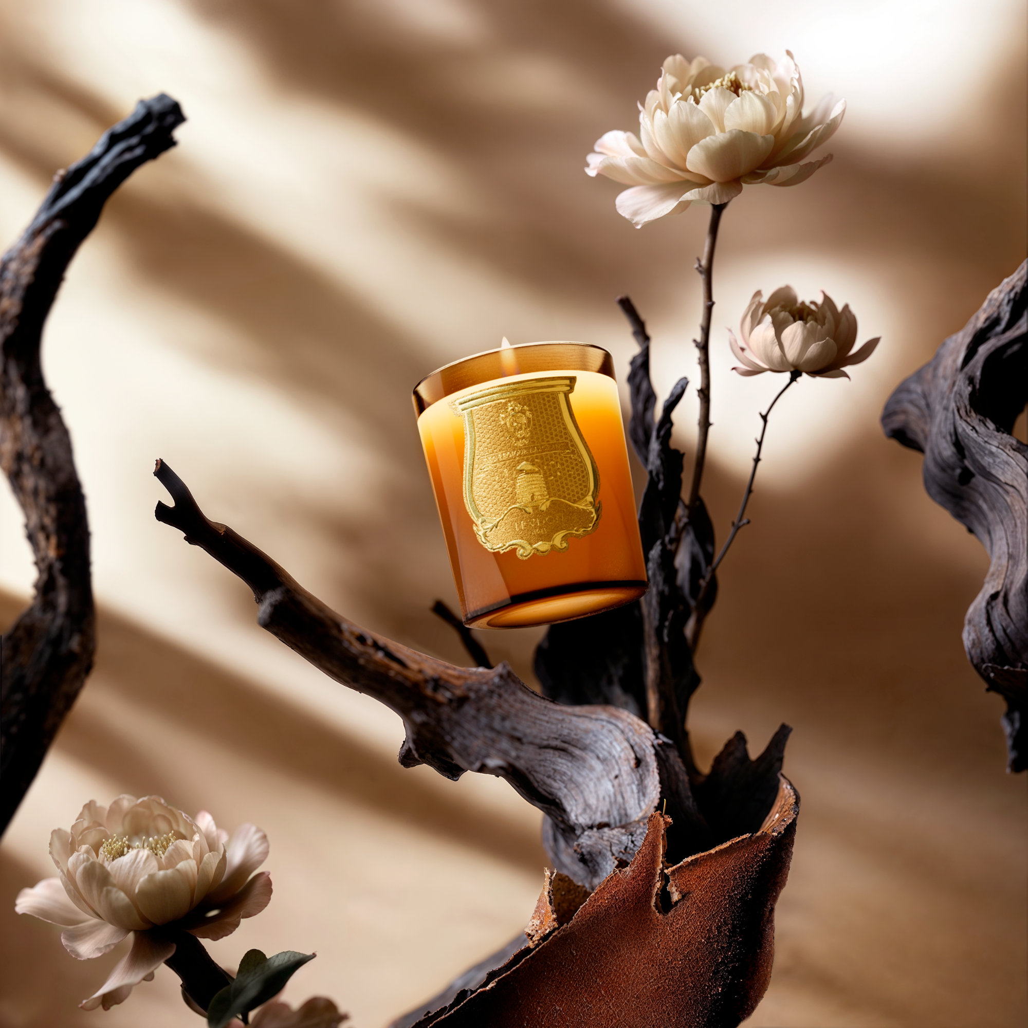 Altaïr Candle 270g - Image 3