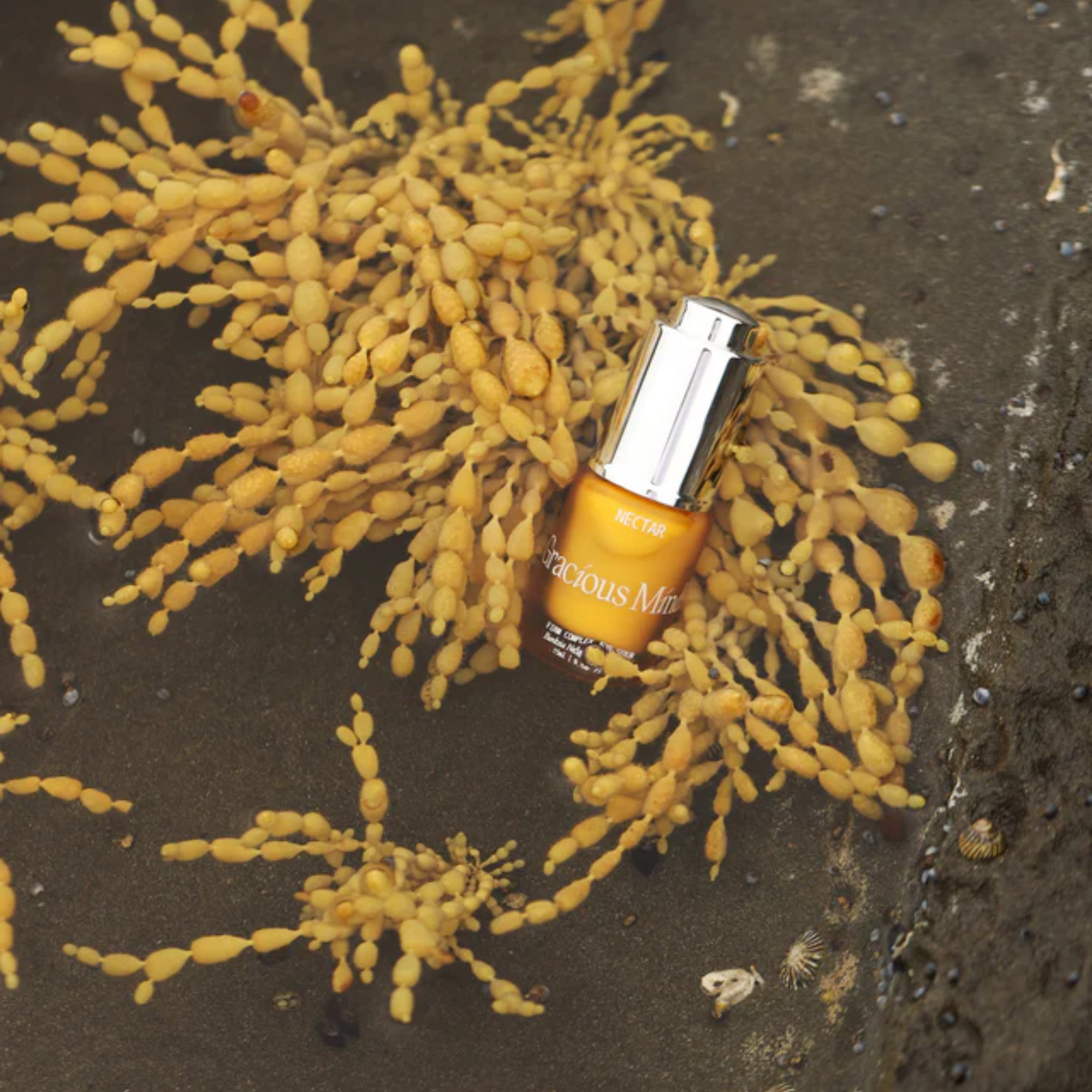 Nectar Complex Firming Eye Serum 15ml - Image 4