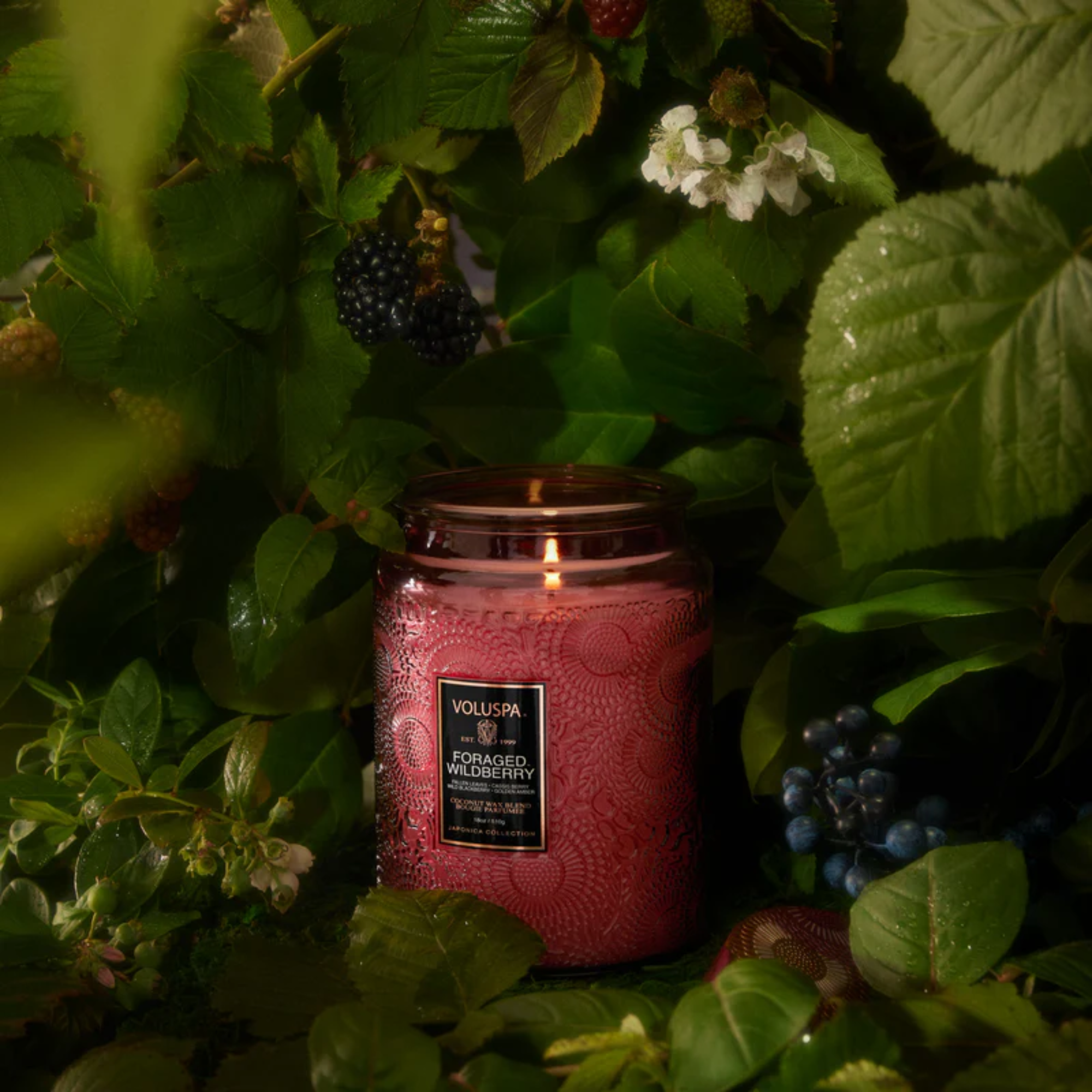 Foraged Wildberry Large Jar Candle 510g - Image 3