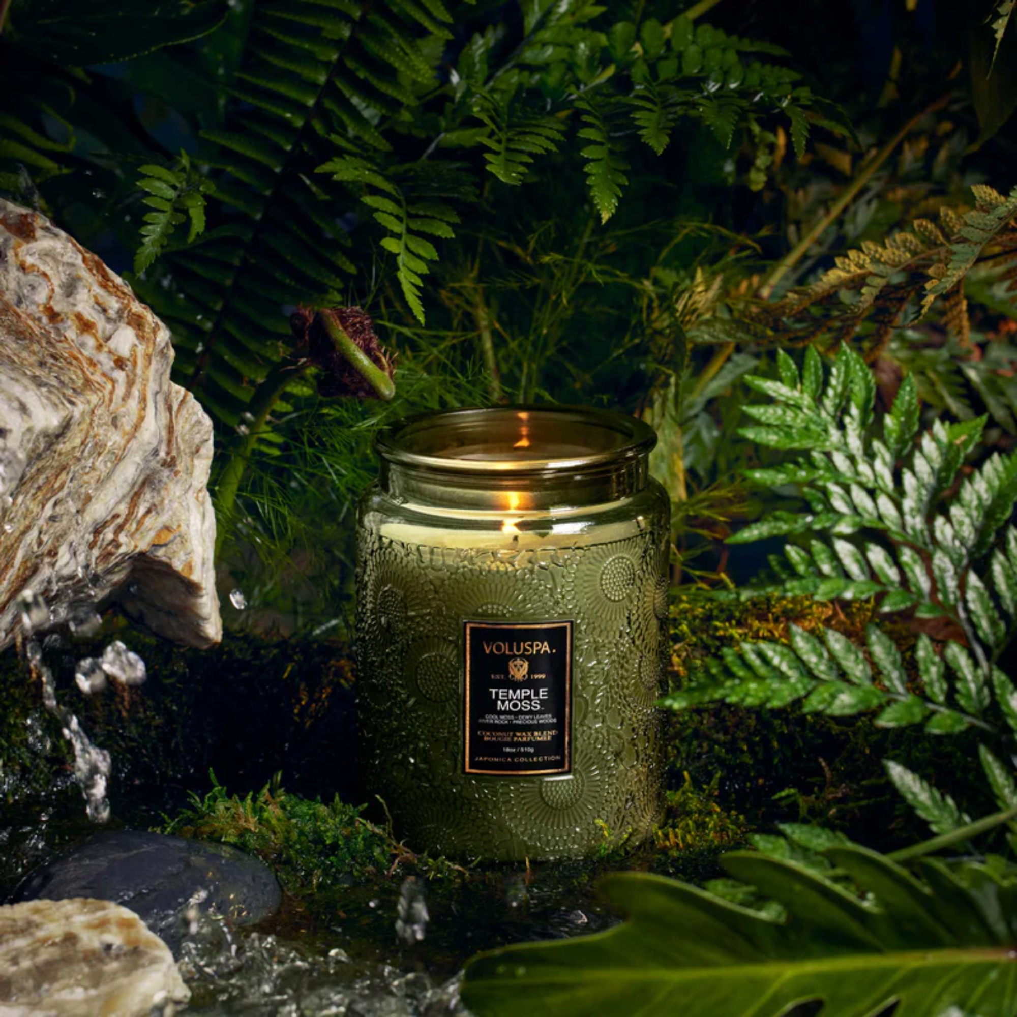 Temple Moss Large Jar Candle 510g - Image 3