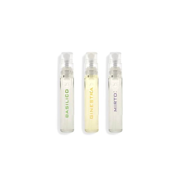 Intenso Collection Sample Trio