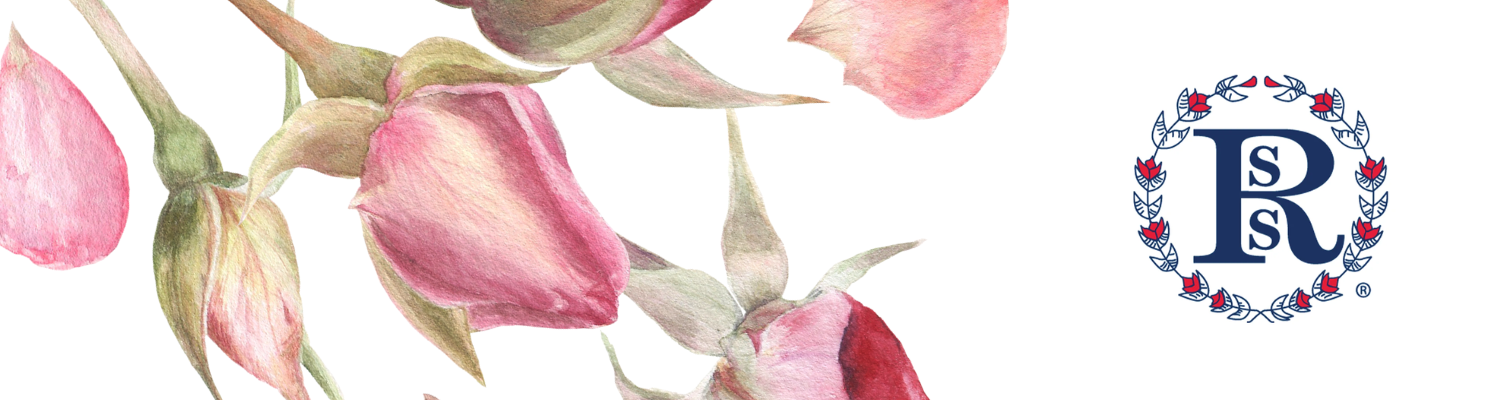 Smiths Rosebud